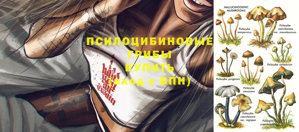 сатива Алзамай