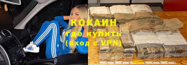 сатива Алзамай