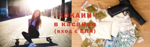 СК Алексин